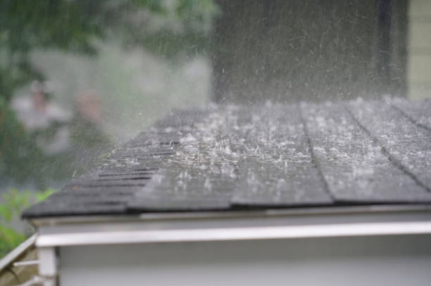 Best Roof Leak Repair  in Summit Park, UT